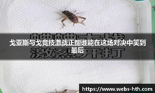 戈亚斯与戈竞技激战正酣谁能在这场对决中笑到最后